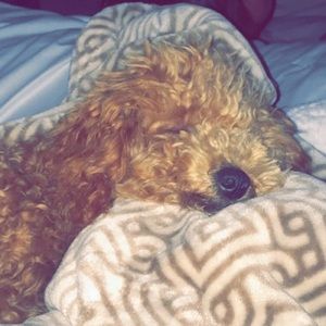 Meet your Posher, Zayra